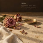 Rose — rose de Damas, pétale séché