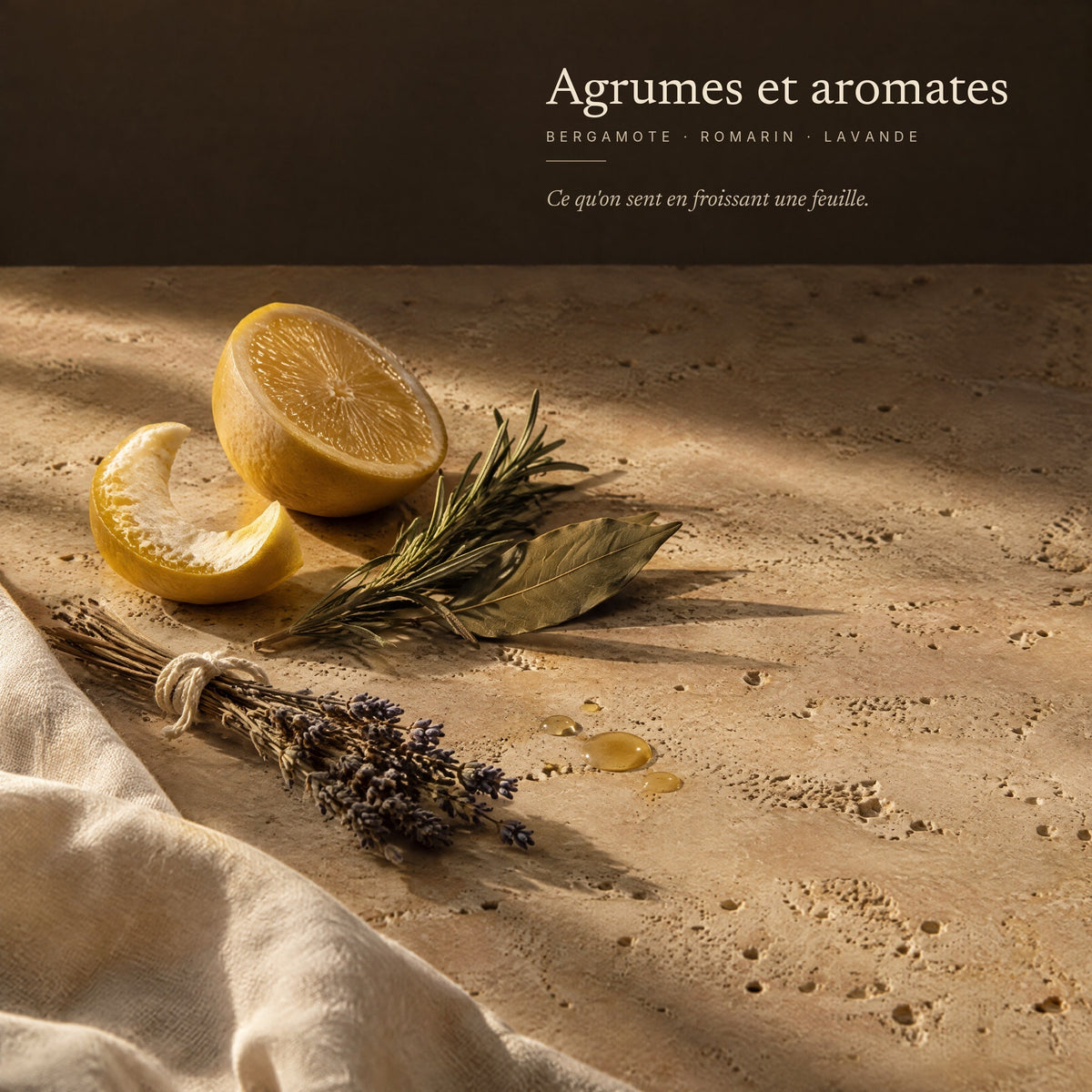 Agrumes et aromates — bergamote, romarin, lavande