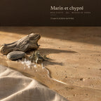 Marin et chypré — bois flotté, sel, mousse de chêne