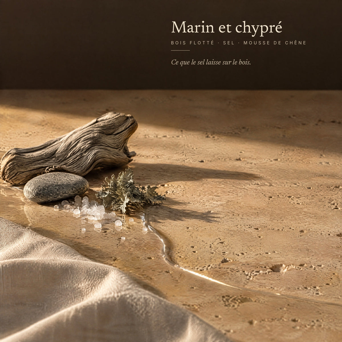Marin et chypré — bois flotté, sel, mousse de chêne